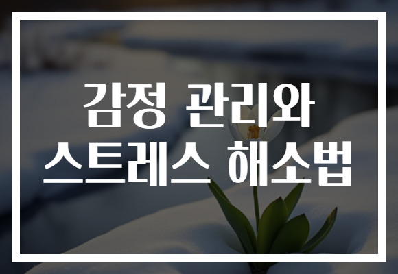 감정 관리와 스트레스 해소법, 일상에서 실천할 수 있는 꿀팁 공개!