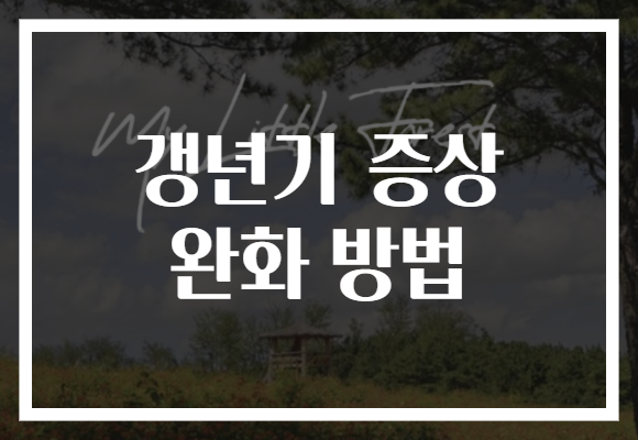 갱년기 증상 완화 방법으로 삶의 질 높이는 비법 공개합니다!