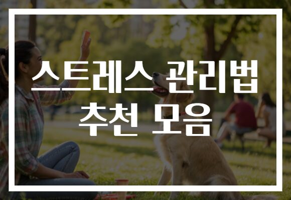 스트레스 관리법 추천 모음으로 마음의 평화를 찾아보세요!