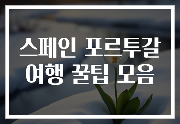 스페인 포르투갈 여행 꿀팁 모음으로 완벽한 유럽 탐방 시작하기!