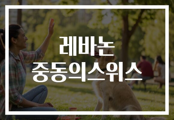 레바논, 중동의 스위스로 떠나는 매력적인 여행지 소개!