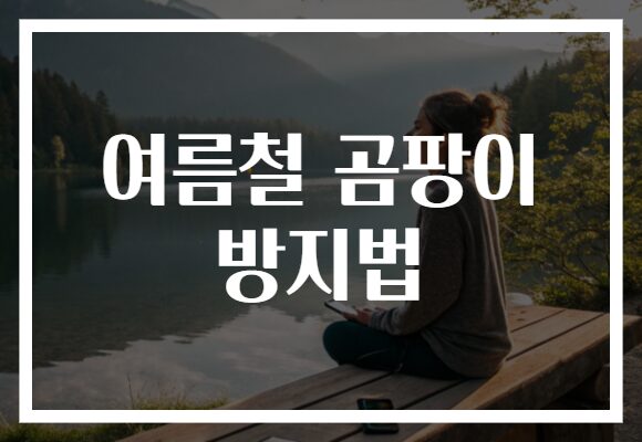 여름철 곰팡이 방지법으로 쾌적한 실내를 유지하는 팁!