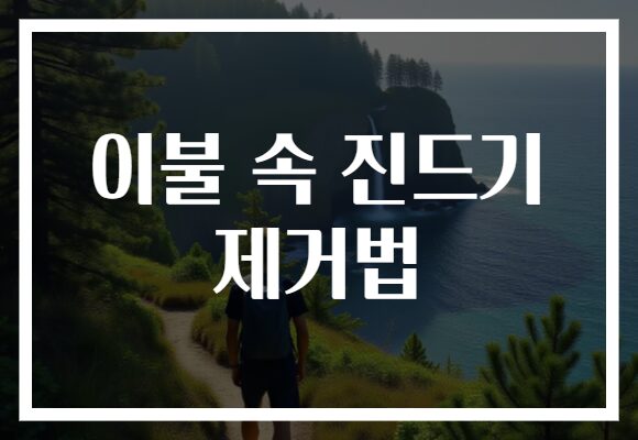 이불 속 진드기 제거법, 간단한 팁으로 건강한 수면 공간 만들자!