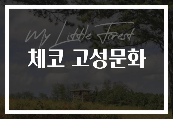 체코 고성문화, 숨은 역사 여행지 추천!