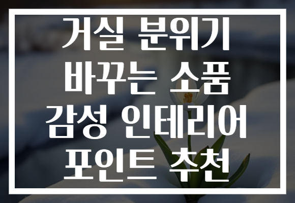 거실 분위기 바꾸는 소품 감성 인테리어 포인트 추천