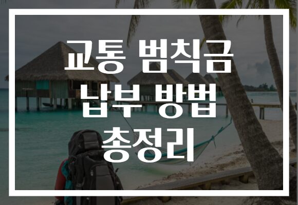 교통 범칙금 납부 방법 총정리