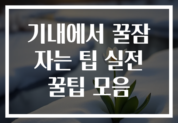 기내에서 꿀잠 자는 팁 실전 꿀팁 모음