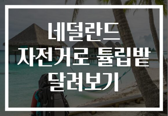 네덜란드 자전거로 튤립밭 달려보기