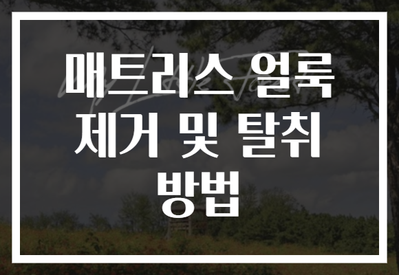 매트리스 얼룩 제거 및 탈취 방법