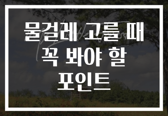 물걸레 고를 때 꼭 봐야 할 포인트