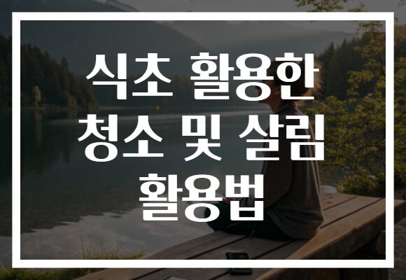 식초 활용한 청소 및 살림 활용법