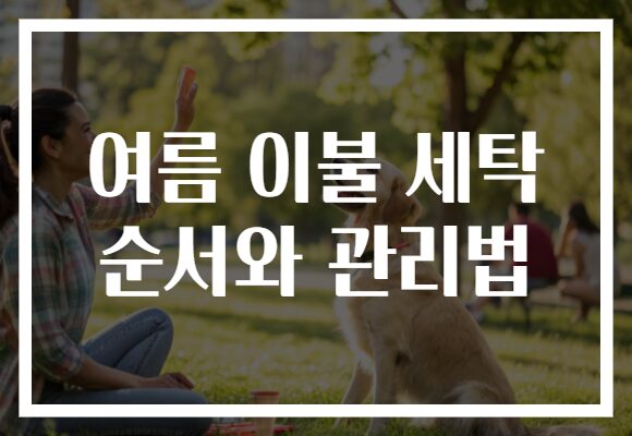 여름 이불 세탁 순서와 관리법