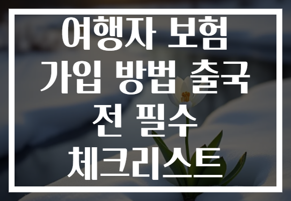 여행자 보험 가입 방법 출국 전 필수 체크리스트