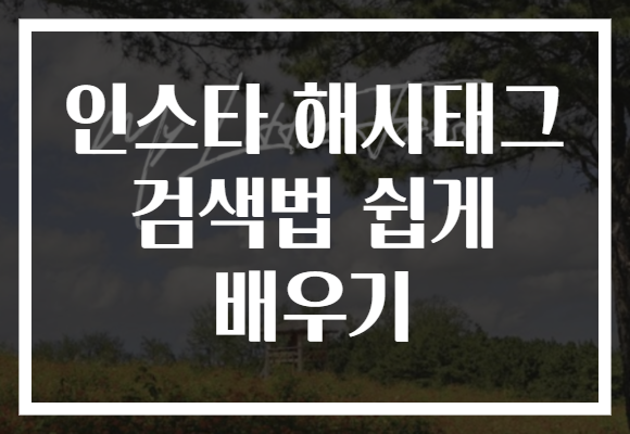 인스타 해시태그 검색법 쉽게 배우기