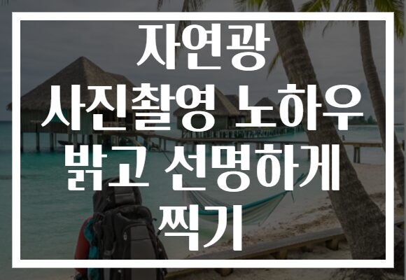 자연광 사진촬영 노하우 밝고 선명하게 찍기