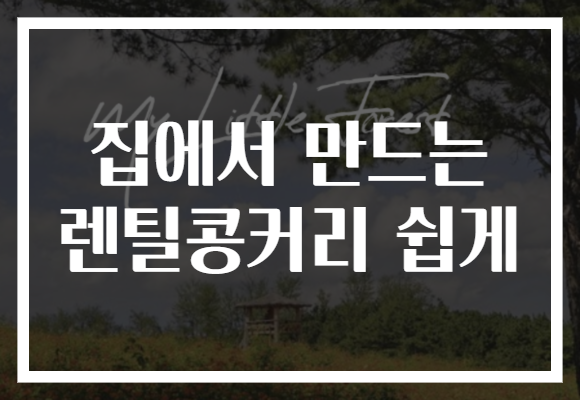 집에서 만드는 렌틸콩커리 쉽게