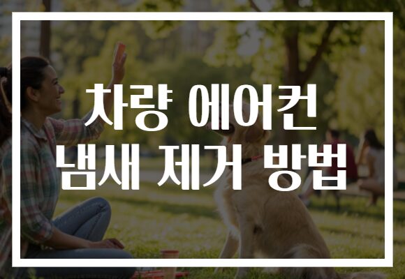 차량 에어컨 냄새 제거 방법