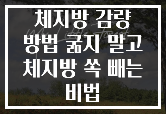 체지방 감량 방법 굶지 말고 체지방 쏙 빼는 비법