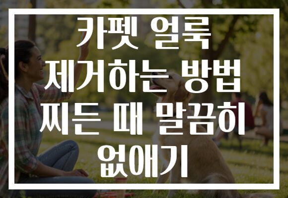 카펫 얼룩 제거하는 방법 찌든 때 말끔히 없애기