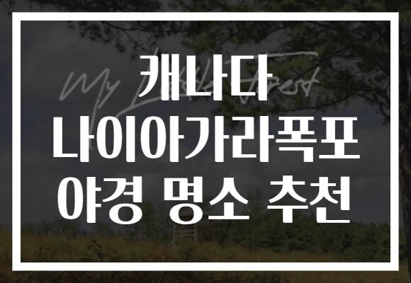 캐나다 나이아가라폭포 야경 명소 추천