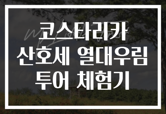 코스타리카 산호세 열대우림 투어 체험기
