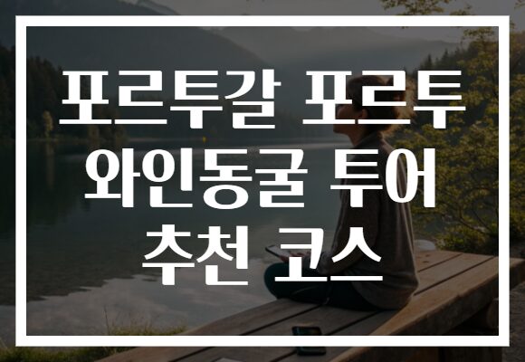 포르투갈 포르투 와인동굴 투어 추천 코스