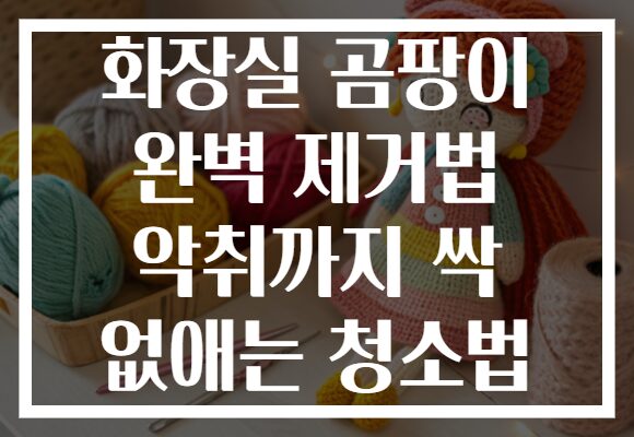 화장실 곰팡이 완벽 제거법 악취까지 싹 없애는 청소법