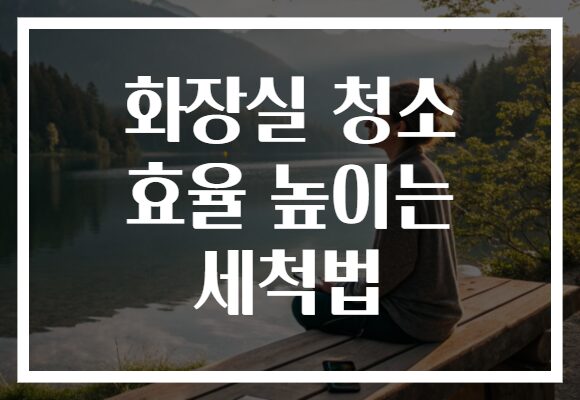 화장실 청소 효율 높이는 세척법