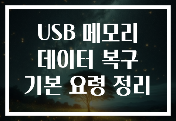 USB 메모리 데이터 복구 기본 요령 정리