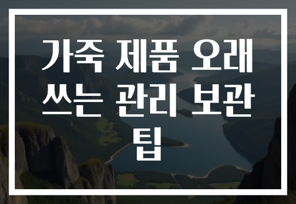 가죽 제품 오래 쓰는 관리 보관 팁