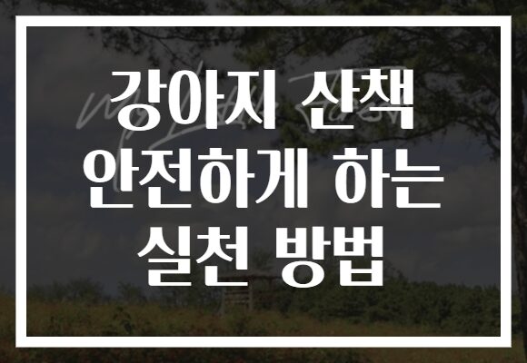 강아지 산책 안전하게 하는 실천 방법