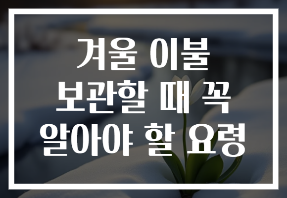 겨울 이불 보관할 때 꼭 알아야 할 요령