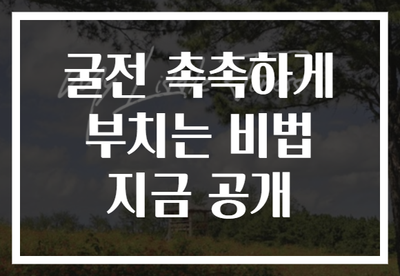 굴전 촉촉하게 부치는 비법 지금 공개