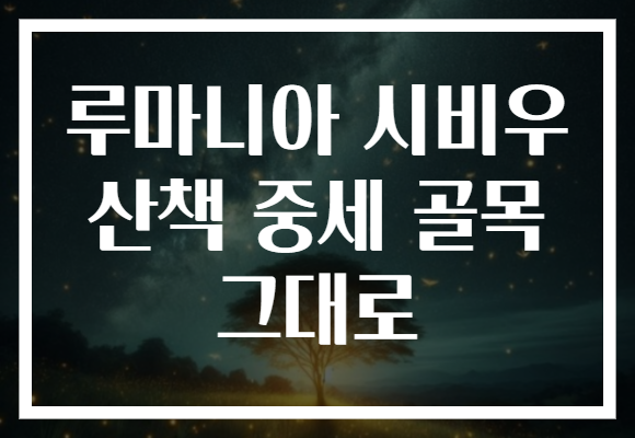 루마니아 시비우 산책 중세 골목 그대로