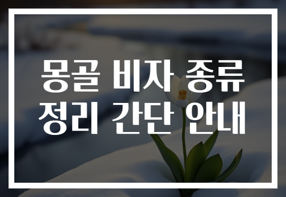몽골 비자 종류 정리 간단 안내