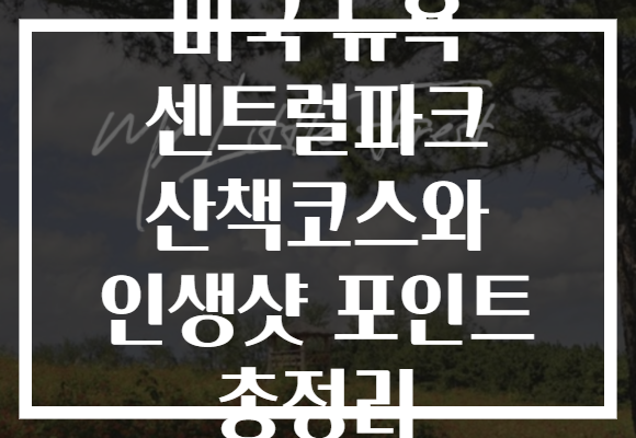 미국 뉴욕 센트럴파크 산책코스와 인생샷 포인트 총정리