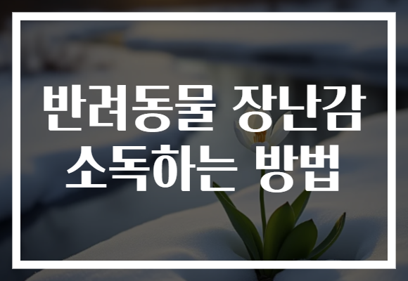 반려동물 장난감 소독하는 방법