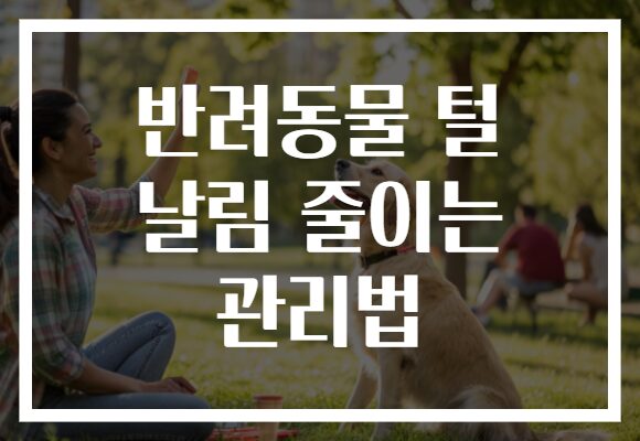 반려동물 털 날림 줄이는 관리법