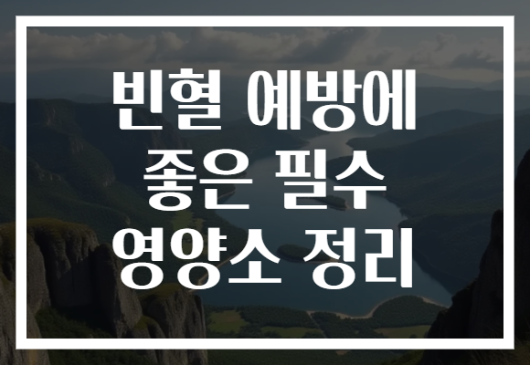 빈혈 예방에 좋은 필수 영양소 정리