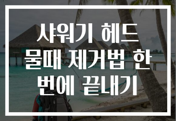 샤워기 헤드 물때 제거법 한 번에 끝내기