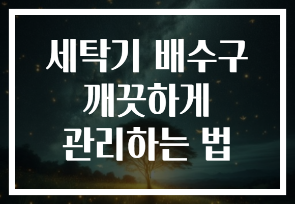 세탁기 배수구 깨끗하게 관리하는 법