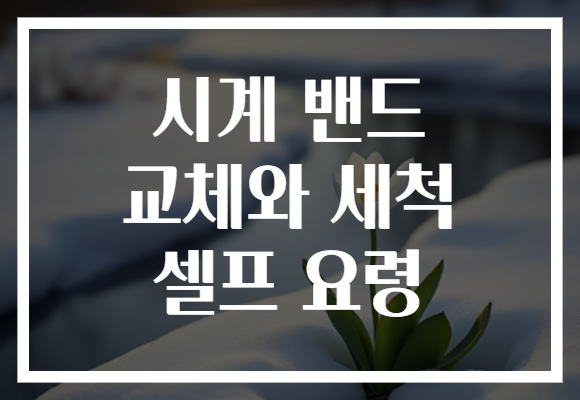 시계 밴드 교체와 세척 셀프 요령