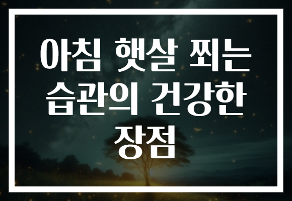 아침 햇살 쬐는 습관의 건강한 장점