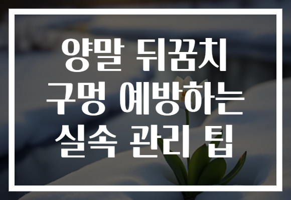 양말 뒤꿈치 구멍 예방하는 실속 관리 팁