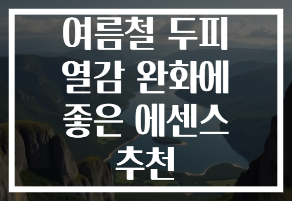 여름철 두피 열감 완화에 좋은 에센스 추천
