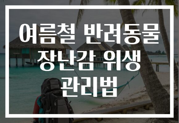 여름철 반려동물 장난감 위생 관리법