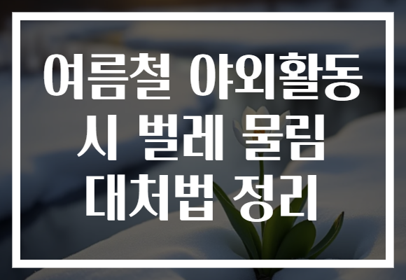 여름철 야외활동 시 벌레 물림 대처법 정리