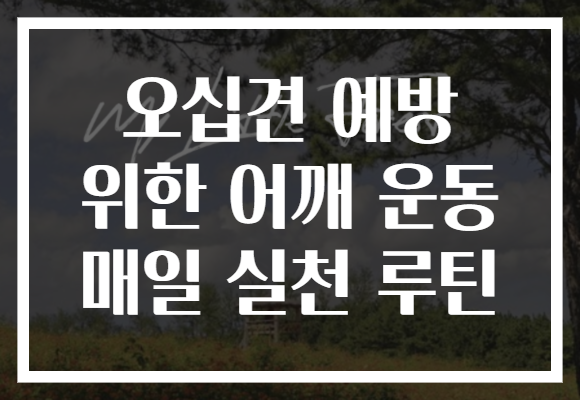 오십견 예방 위한 어깨 운동 매일 실천 루틴