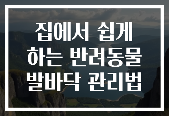 집에서 쉽게 하는 반려동물 발바닥 관리법