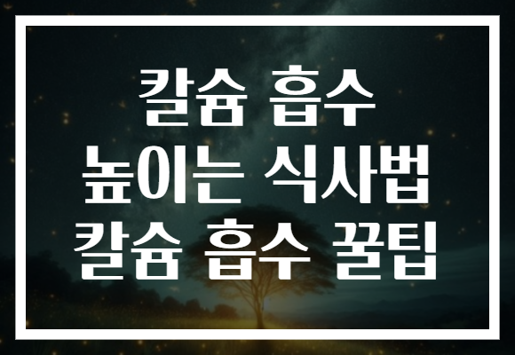 칼슘 흡수 높이는 식사법 칼슘 흡수 꿀팁